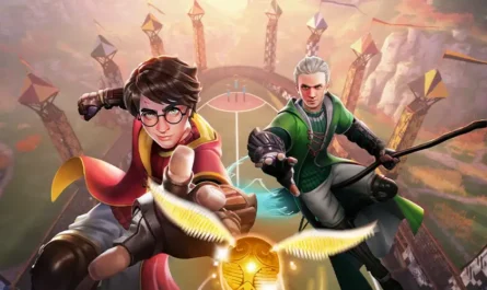 Detalles revelados de Harry Potter Quidditch